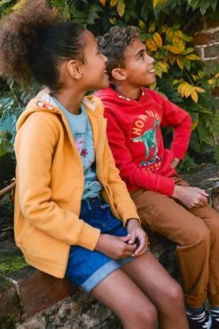 FatFace Red Lets Roll Dino Hoodie -Fat Face Shop D61 454s6